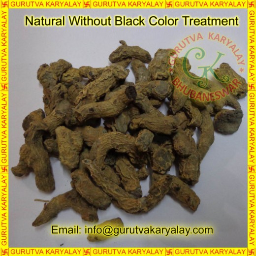 Mantra Siddha Very Rare Kali Haldi | Black Turmeric Size 2-3 Inch 